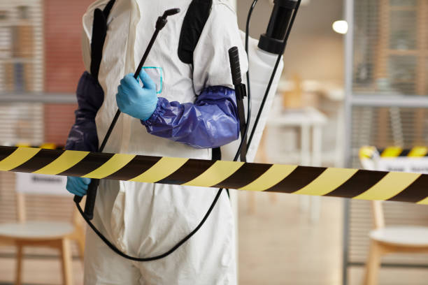 Professional Biohazard technician working in Townsend, WI